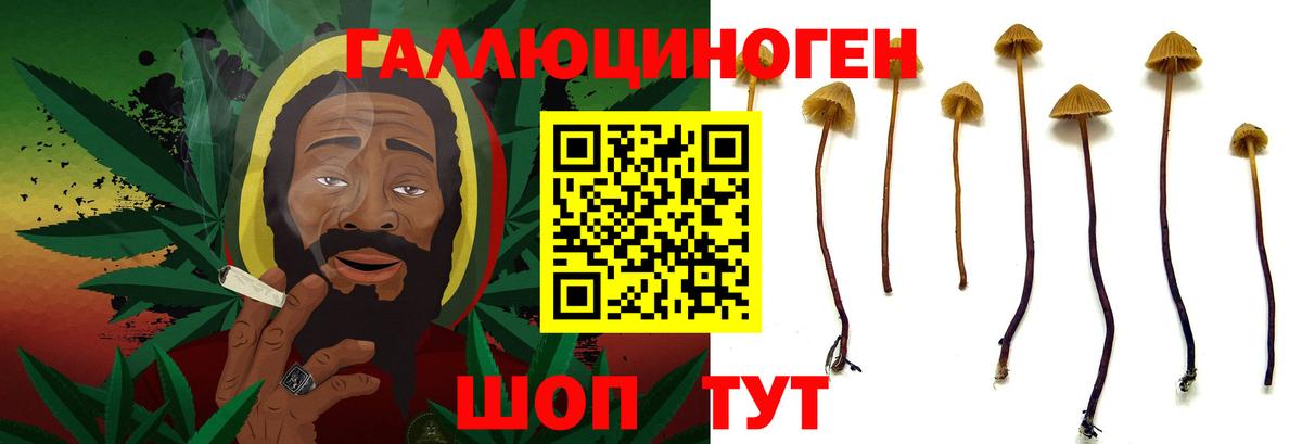 Борисоглебск  Псилоцибиновые грибы MAGIC MUSHROOMS  Вход с VPN 