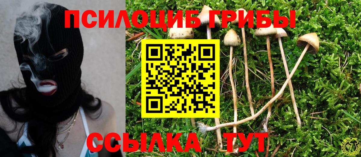 Псилоцибиновые грибы мицелий Борисоглебск